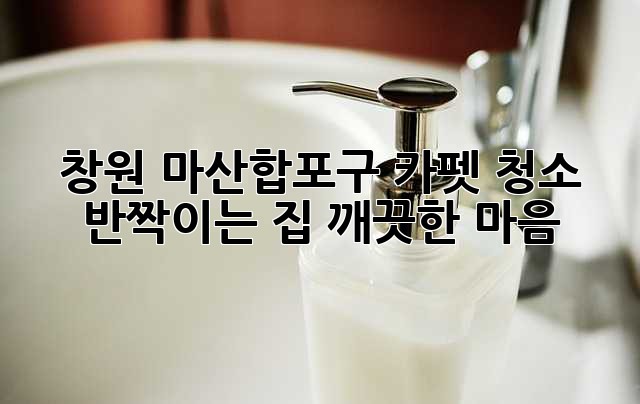 창원 마산합포구 카펫 청소: 반짝이는 집, 깨끗한 마음