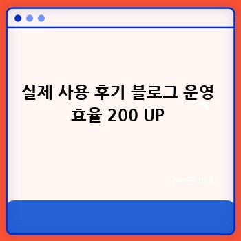 실제 사용 후기 블로그 운영 효율 200 UP