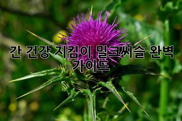 간 건강 지킴이, 밀크씨슬 완벽 가이드