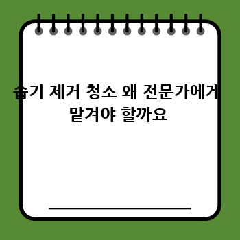 습기 제거 청소 왜 전문가에게 맡겨야 할까요