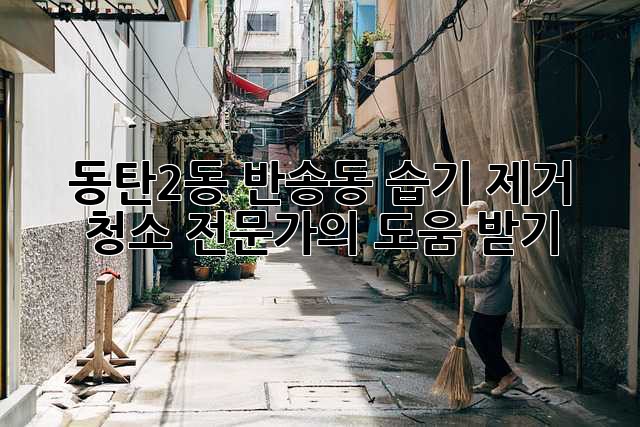동탄2동, 반송동 습기 제거 청소 전문가의 도움 받기