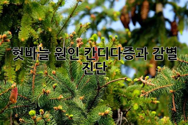 혓바늘 원인: 칸디다증과 감별 진단