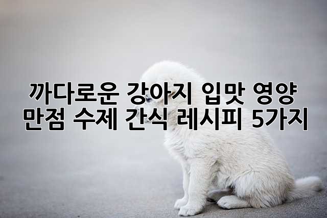 까다로운 강아지 입맛, 영양 만점 수제 간식 레시피 5가지!