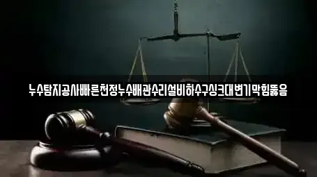 누수탐지공사빠른천정누수배관수리설비하수구싱크대변기막힘뚫음