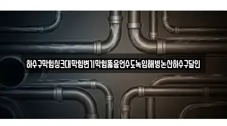 하수구막힘싱크대막힘변기막힘뚫음언수도녹임해빙논산하수구달인