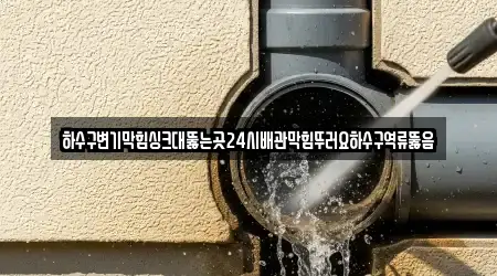 하수구변기막힘싱크대뚫는곳24시배관막힘뚜러요하수구역류뚫음