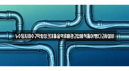 누수탐지하수구막힘싱크대뚫음역류배관고압세척뚫어뻥다고쳐설비