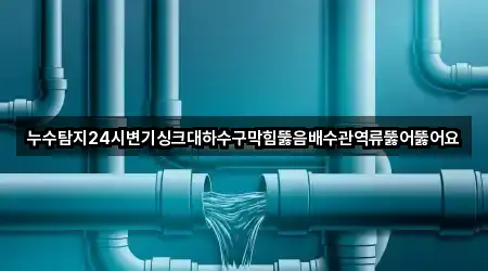 누수탐지24시변기싱크대하수구막힘뚫음배수관역류뚫어뚫어요
