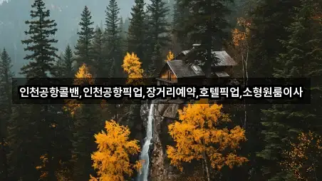 인천공항콜밴,인천공항픽업,장거리예약,호텔픽업,소형원룸이사