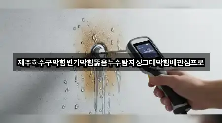 제주하수구막힘변기막힘뚫음누수탐지싱크대막힘배관심프로