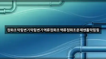 정화조막힘변기막힘변기역류정화조역류정화조문제맨홀막힘힘