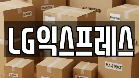 LG익스프레스
