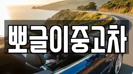 강원 동해시 단봉동 중고차 전문 뽀글이중고차