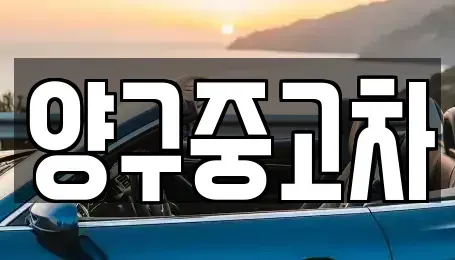 강원 양구군 양구읍 중고차매매 전문 양구중고차