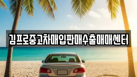 강원 양구군 양구읍 단기렌트카,중고차매입,중고차매매,중고차,렌트카,장기렌트카