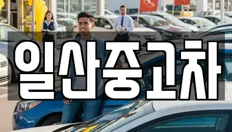 경기 고양시 덕양구 용두동 중고차 전문 일산중고차
