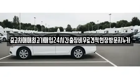경기 고양시 덕양구 용두동 중고차 전문 중고차매매최고가매입24시간출장비무료견적현장방문지누카