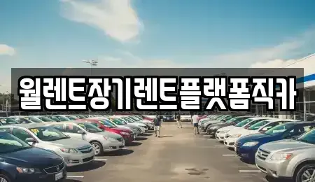 경기 광주시 역동 장기렌트카 전문 월렌트장기렌트플랫폼직카
