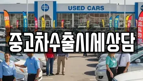 경기 광주시 역동 중고차매매 전문 중고차수출시세상담