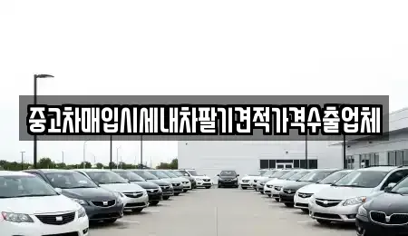 경기 광주시 역동 중고차매입 전문 중고차매입시세내차팔기견적가격수출업체