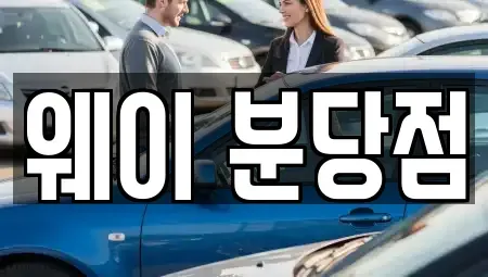 경기 성남시 분당구 이매동 단기렌트카 전문 웨이 분당점