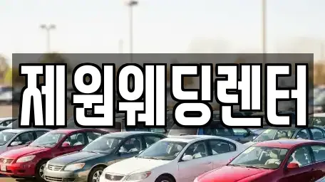 경기 성남시 분당구 이매동 단기렌트카 전문 제원웨딩렌터