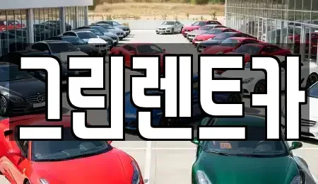 경기 안산시 상록구 팔곡이동 렌트카 전문 그린렌트카