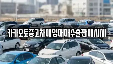 경기 양평군 청운면 중고차 전문 카카오토중고차매입매매수출판매시세