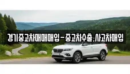 경기 의정부시 녹양동 중고차매입 전문 경기중고차매매매입-중고차수출.사고차매입