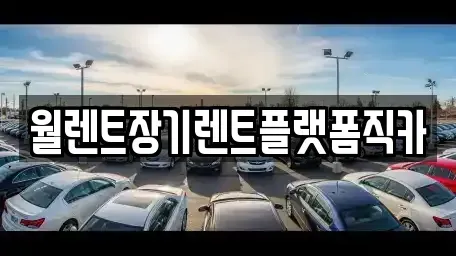 경기 이천시 장기렌트카 전문 월렌트장기렌트플랫폼직카