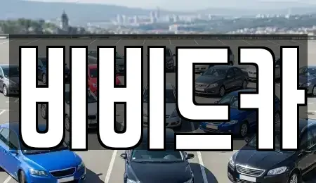 경기 이천시 중고차매매 전문 비비드카