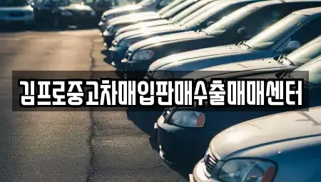 경기 이천시 중고차매입 전문 김프로중고차매입판매수출매매센터