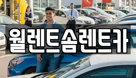 경기 파주시 산남동 렌트카 전문 월렌트솜렌트카
