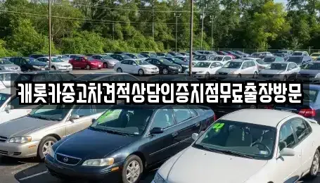 경기도 광명시 철산동 중고차 전문 캐롯카중고차견적상담인증지점무료출장방문