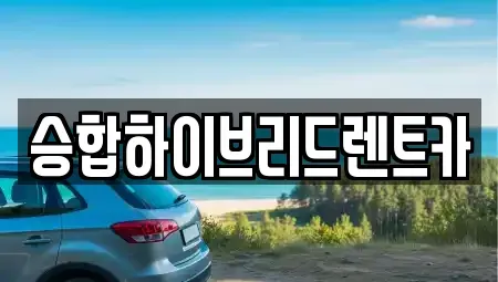 경기도 구리시 단기렌트카 전문 승합하이브리드렌트카