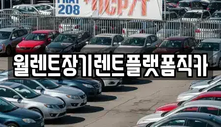 경기도 구리시 장기렌트카 전문 월렌트장기렌트플랫폼직카
