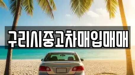 경기도 구리시 중고차 전문 구리시중고차매입매매