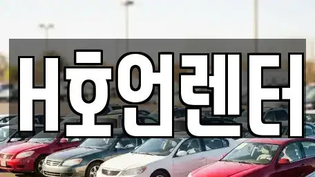 경기도 김포시 감정동 단기렌트카 전문 H호언렌터