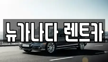 경기도 김포시 감정동 렌트카 전문 뉴가나다 렌트카