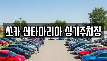 경기도 김포시 감정동 장기렌트카 전문 쏘카 산타마리아 상가주차장