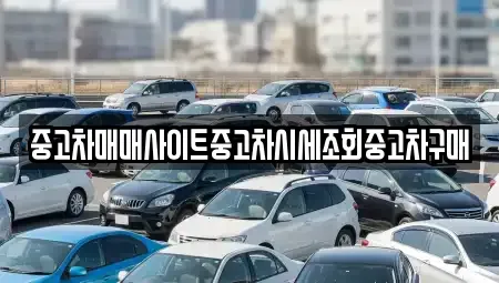 경기도 김포시 감정동 중고차매매 전문 중고차매매사이트중고차시세조회중고차구매