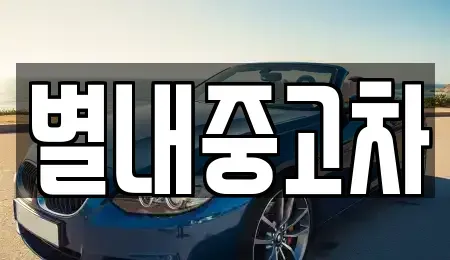 경기도 남양주시 별내동 중고차 전문 별내중고차