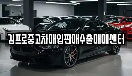 경기도 남양주시 별내동 중고차매입 전문 김프로중고차매입판매수출매매센터