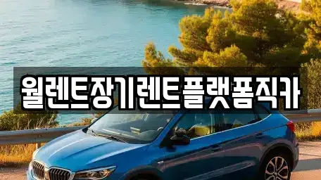 경기도 성남시 중원구 은행동 장기렌트카 전문 월렌트장기렌트플랫폼직카