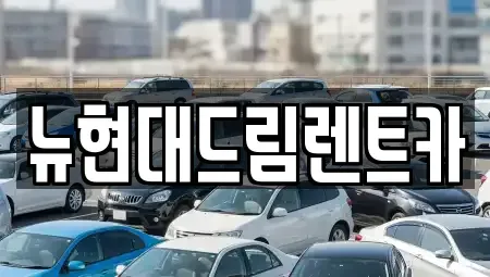 경기도 시흥시 장곡동 렌트카 전문 뉴현대드림렌트카