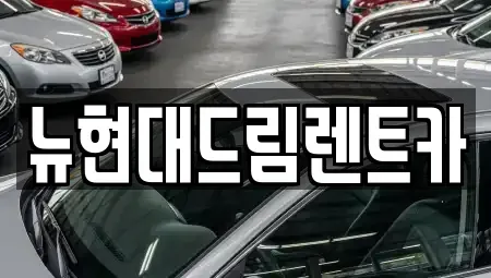 경기도 안산시 상록구 장상동 렌트카 전문 뉴현대드림렌트카