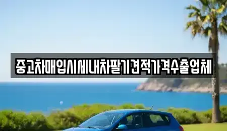 경기도 안산시 상록구 장상동 중고차 전문 중고차매입시세내차팔기견적가격수출업체
