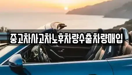경기도 안성시 삼죽면 단기렌트카,중고차매입,중고차매매,중고차,렌트카,장기렌트카
