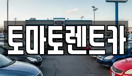 경기도 양평군 단월면 렌트카 전문 토마토렌트카