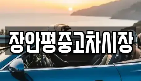 경기도 양평군 단월면 중고차 전문 장안평중고차시장